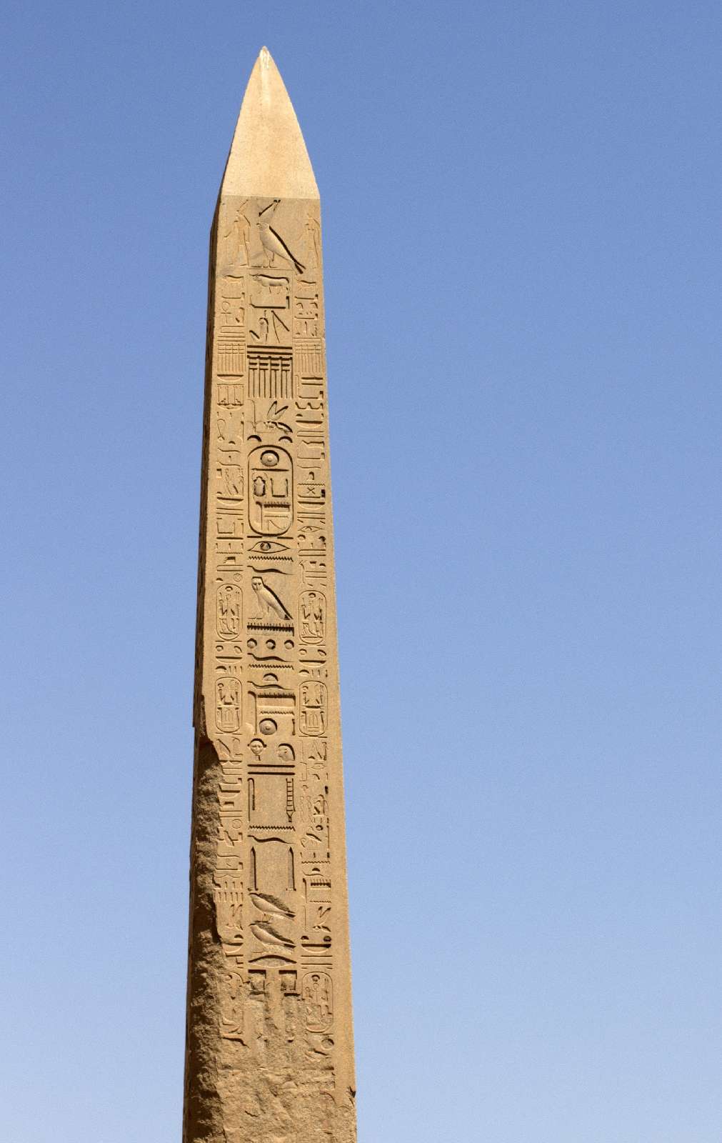 Banner Egypt