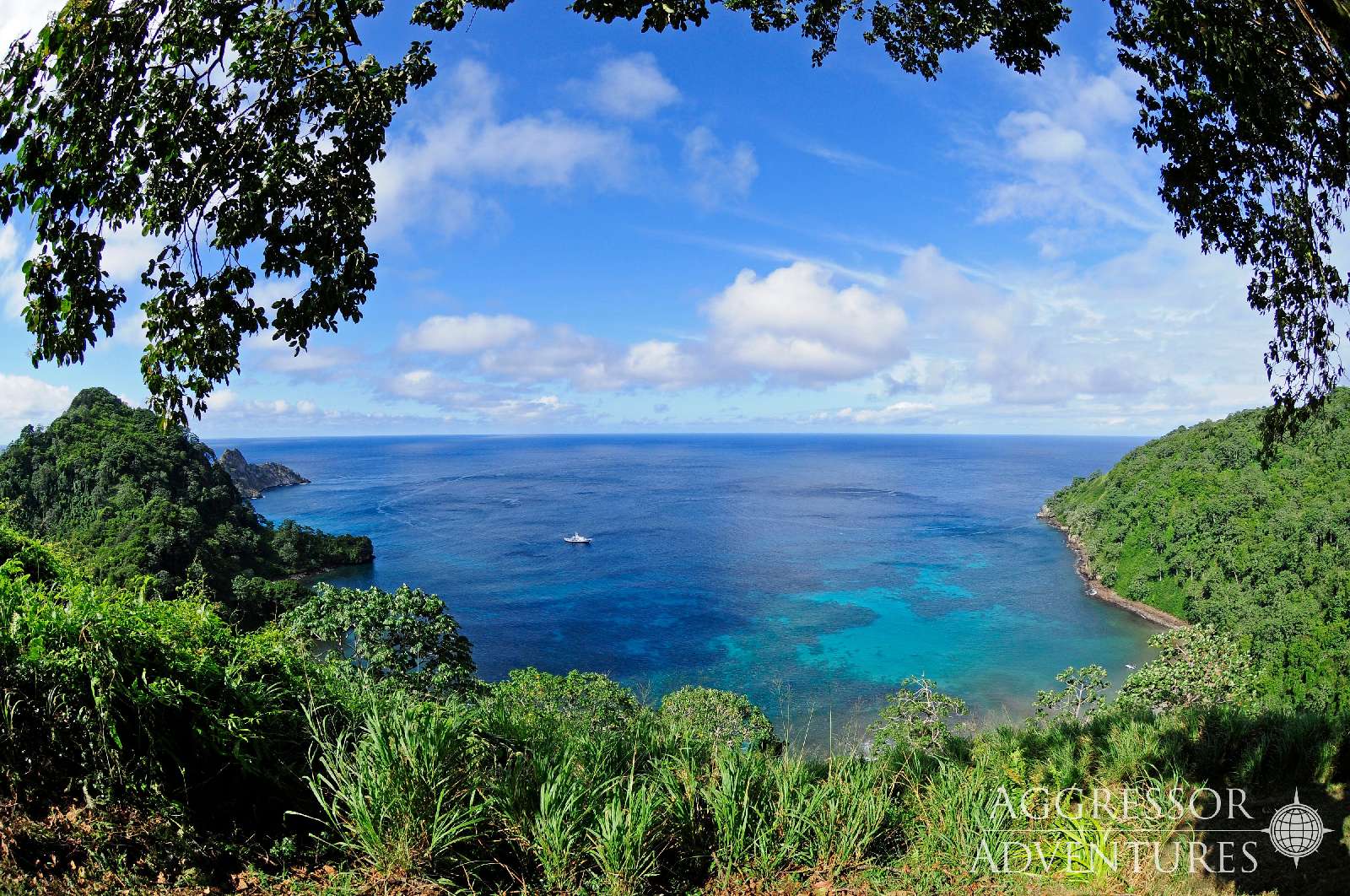 Banner Cocos Island