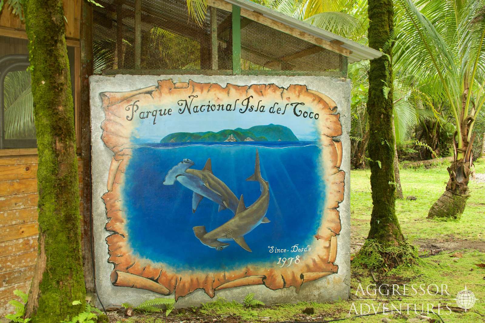 Banner Cocos Island