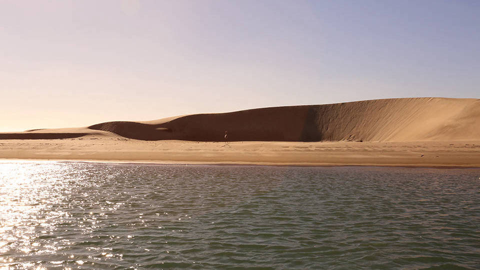 Banner Mare di Cortez  - Golfo della California