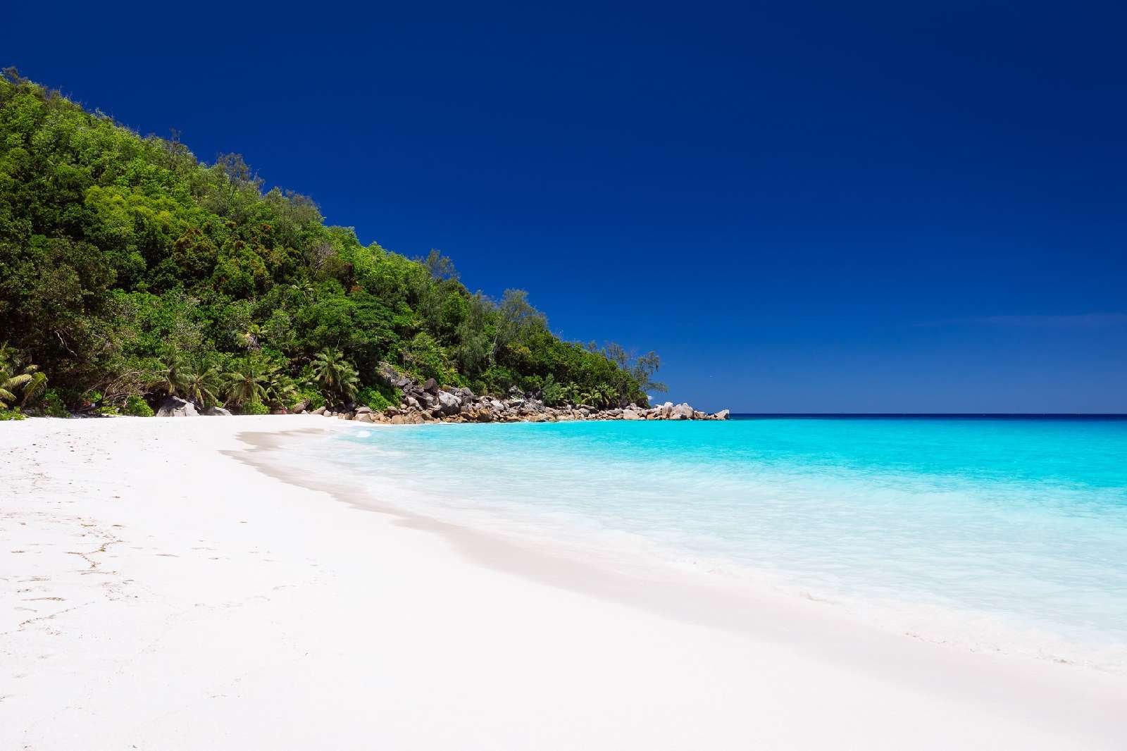 Banner Seychelles