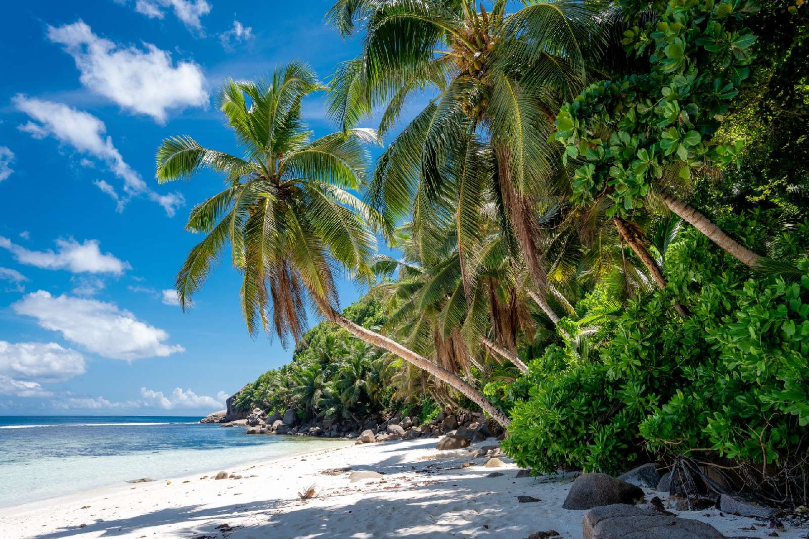 Banner Seychelles