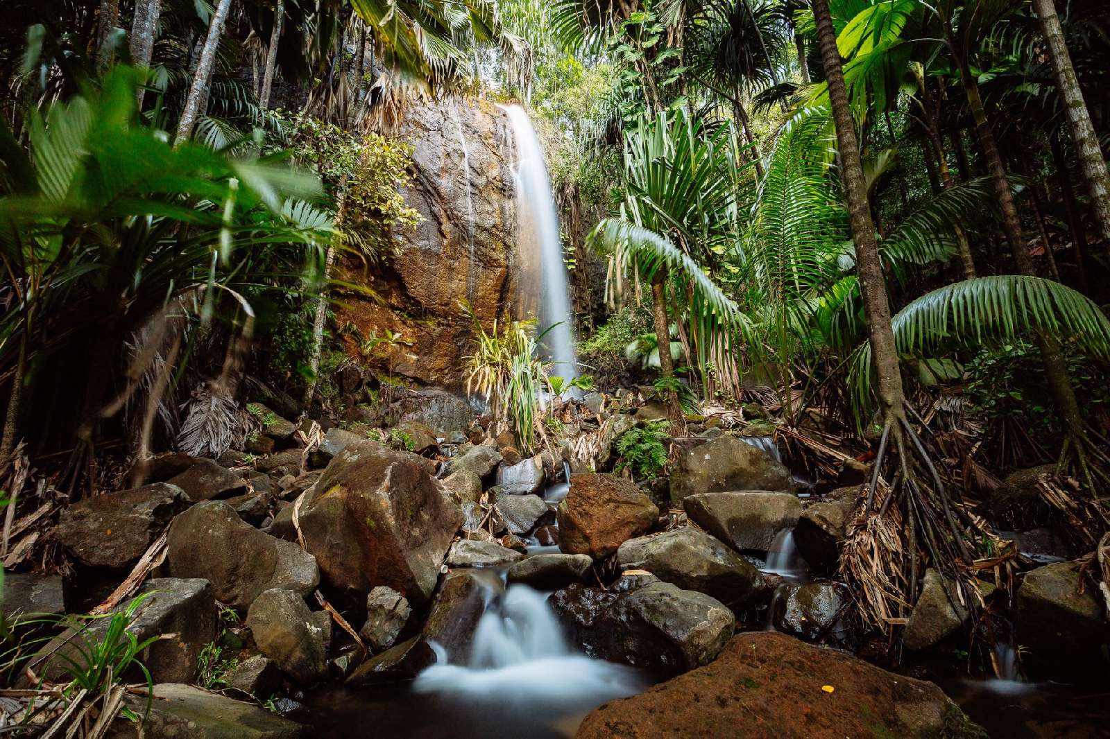 Banner Seychelles