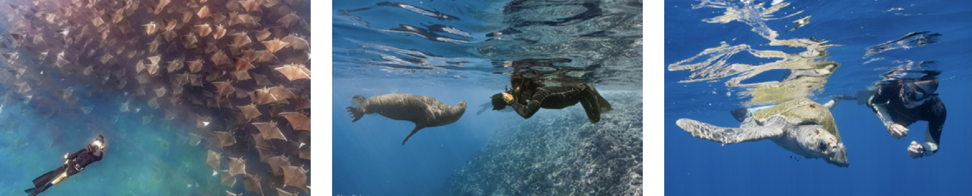 Banner Viaggi Fotografici con Amos