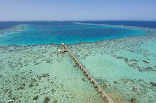 sudan-il-reef-di-sanganeb-visto-dallalto-del-faro.jpg