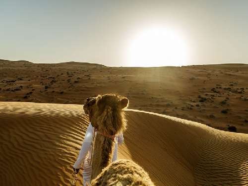 IL VIAGGIO DI SINDBAD wahiba-sands-kamelsafari-day04.jpg