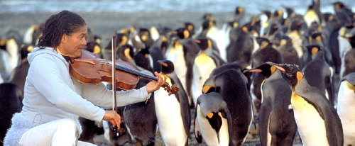 South Georgia Island – Spedizione Naturalistica e Fotografica screenshot-2026-02-06-at-14.03.48-copy.png