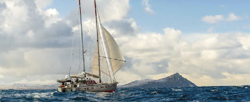 South Georgia Island – Spedizione Naturalistica e Fotografica screenshot-2026-02-06-at-14.03.57-copy.png