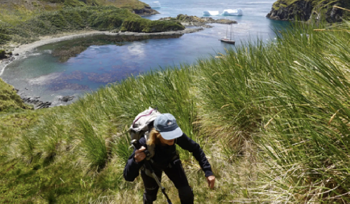 South Georgia Island – Spedizione Naturalistica e Fotografica screenshot-2026-02-06-at-14.04.02-copy.png