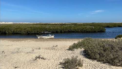 Pelagic Expedition 2027 10.jpg