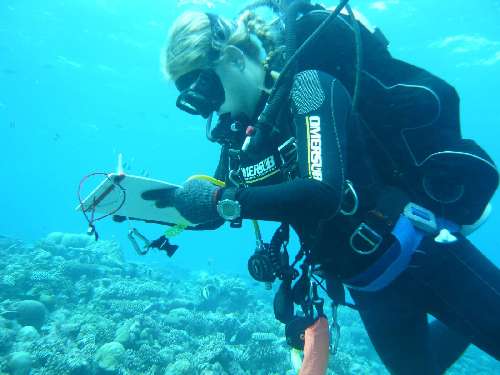 Crociera scientifica Maldive cr.-scientifica-maldives.jpg