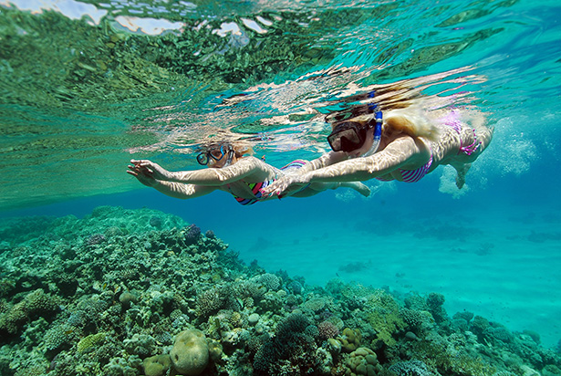 red-sea-snorkeling.jpg