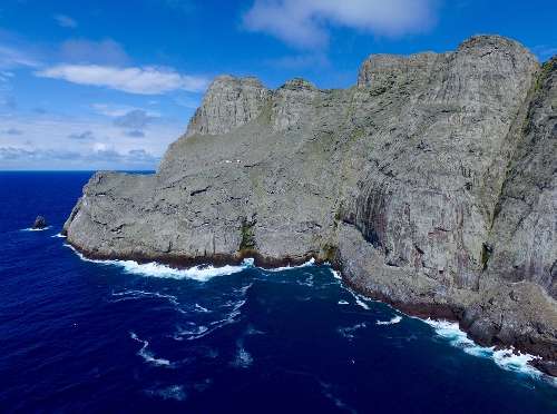 Immersioni a Malpelo malpelo-flora-e-fauna.jpg