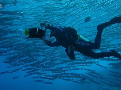 Punti immersione a Malpelo bucosmalpeloclaude-cuinen.jpg