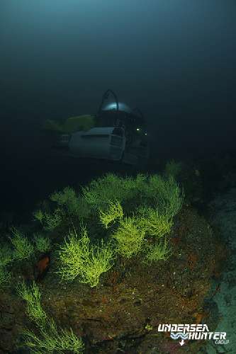 Punti immersione a Cocos Island cocos-island-deep-see-bloom.jpg