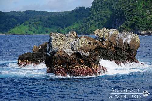 Punti immersione a Cocos Island cocos-island-land10.jpg