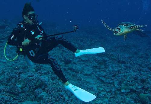 Crociera subacquea Maldive monipic-601.jpg