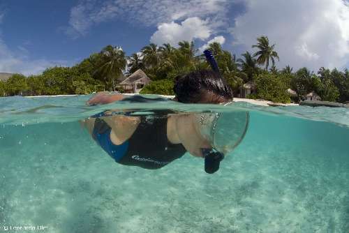 Crociera snorkeling Maldive olmi-lonardo-snorkel-1.jpg