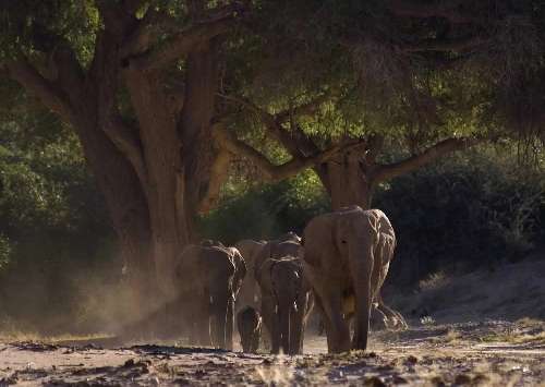 Divine Escape 13 giorni/ 12 notti namibia2.jpg