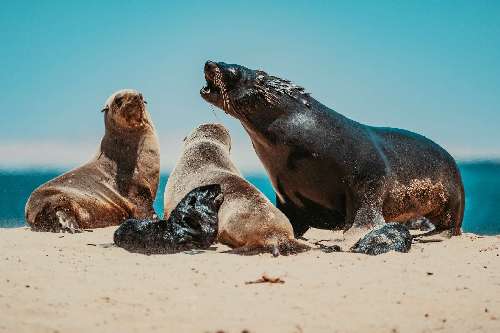 Family Safari 13 giorni namibia2018-11358.jpg