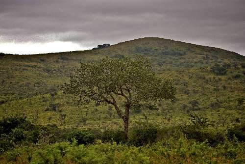 Tour in Sudafrica colline-sudafrica.jpg