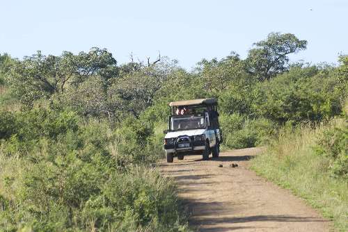 Tour in Sudafrica jeep-sudafrica.jpg