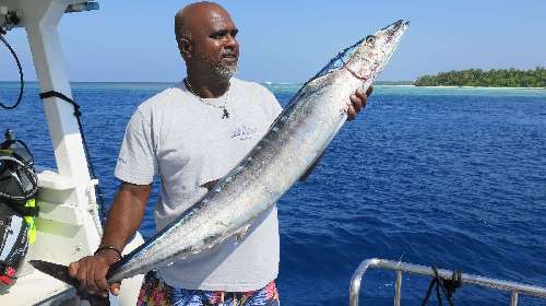 Crociera per pescatori Maldive barracuda-rasheed-2.jpg