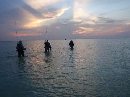 Crociera per pescatori Maldive days-end.jpg