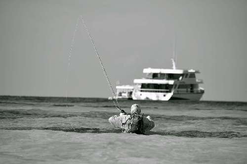 Crociera per pescatori Maldive dsc0064.jpg