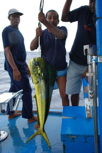 Crociera per pescatori Maldive fishingvillag.-2.jpg