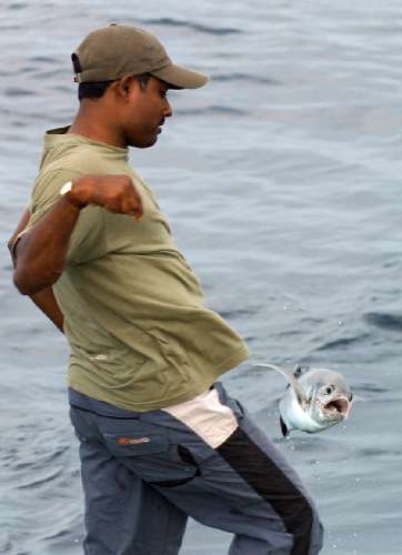 Crociera per pescatori Maldive fishingwafir-mohamed.jpg