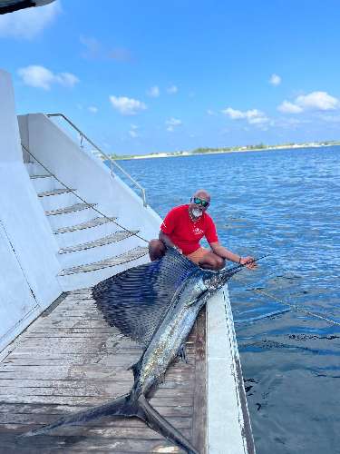 Crociera per pescatori Maldive marlin-rasheed-1.jpeg