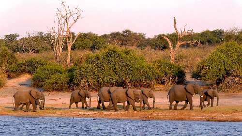 BOTSWANA botswana-16531001920.jpg