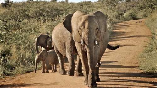 BOTSWANA picture5.jpg