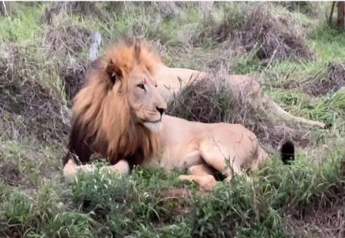 BOTSWANA picture8.jpg