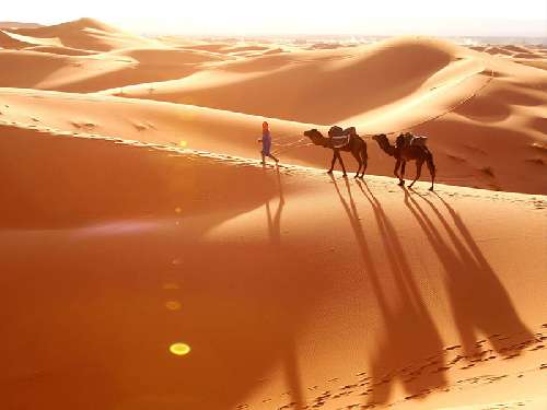 I TESORI DELL’OMAN wp2644429-day-7.jpg