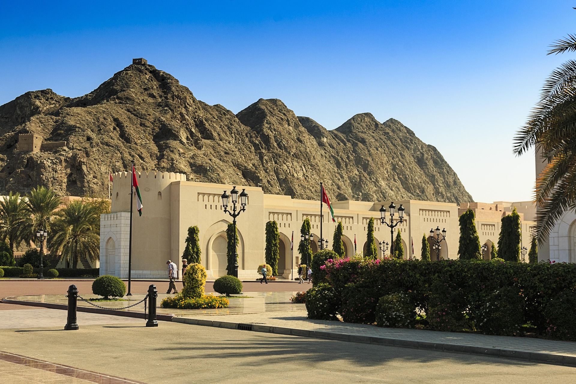 oman-26061051920.jpg