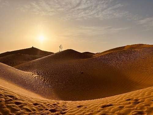 CAPODANNO IN OMAN oman-85604201920.jpg