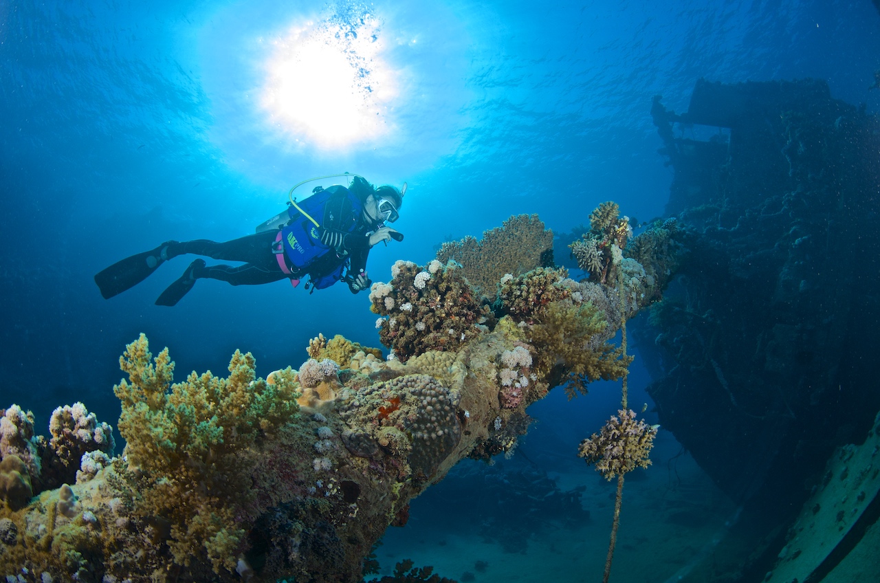 Il magico arco di Elphinstone Reef nel Mar Rosso