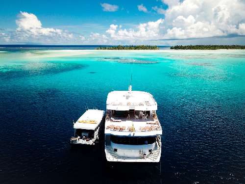 In crociera alle Maldive ci vado perché ...