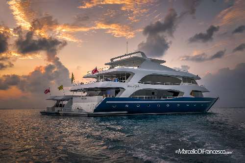 Crociera DAN Alle Maldive a bordo del Duca Di York - ScubaPortal