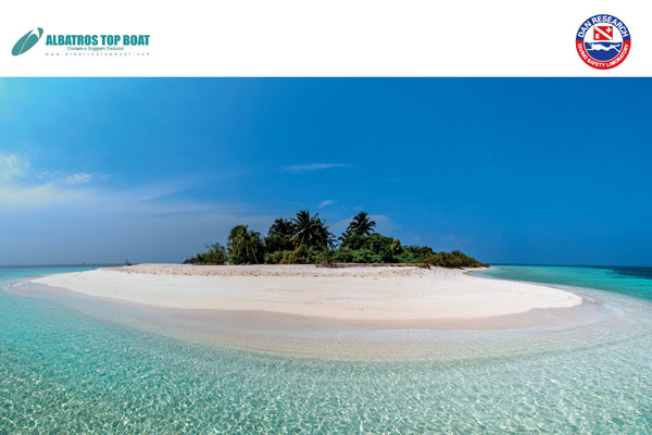 dan-maldive.jpg