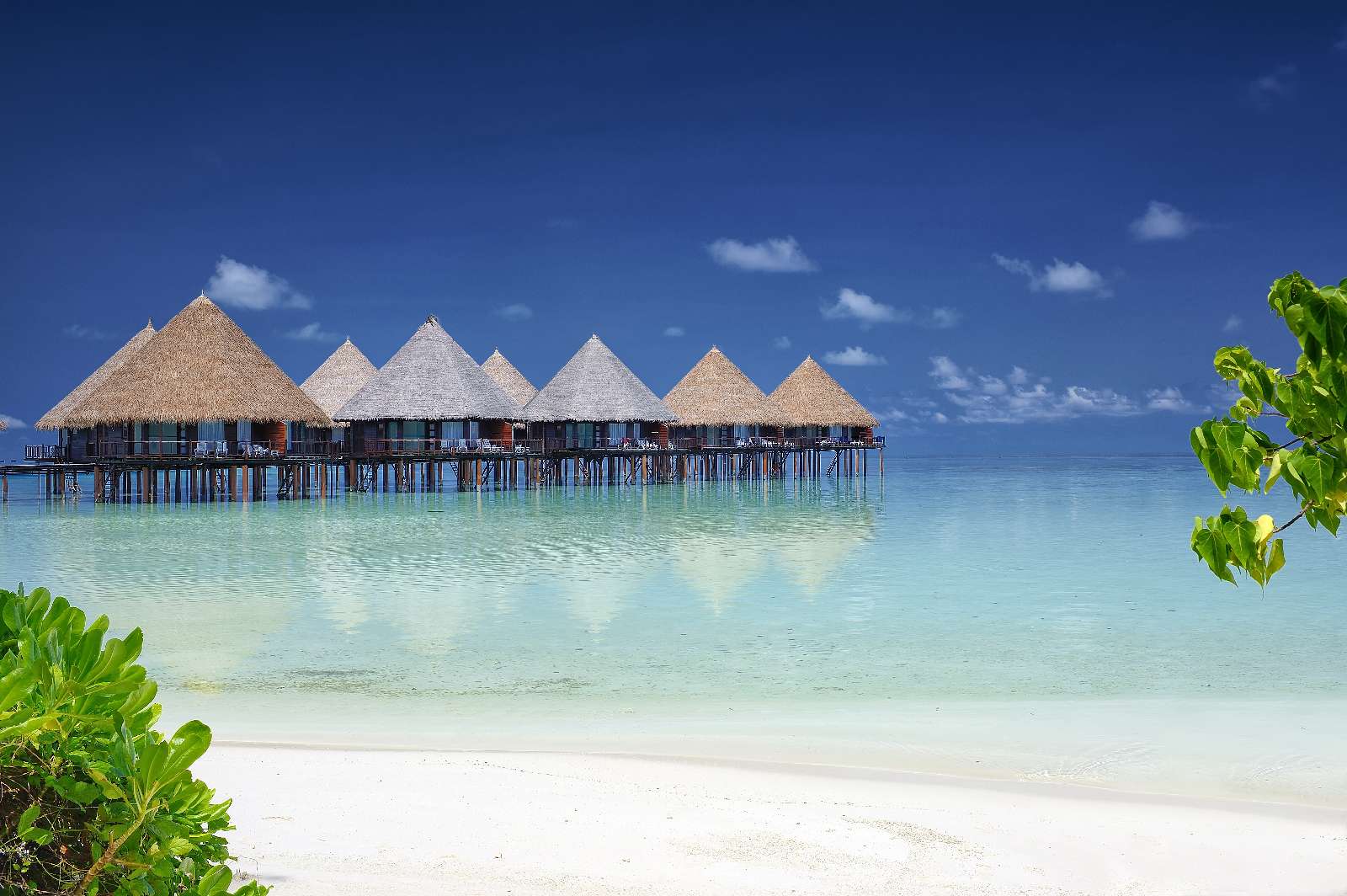 Velidhoo Island Resort atb-velidhoo-maldives-3.jpg