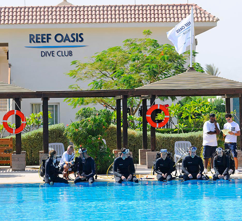 Reef Oasis Dive Club Sharm reef-oasis-dive-club-sharm27324474327o.jpg